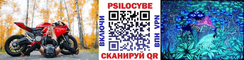 мега как зайти  Шелехов  Псилоцибиновые грибы GOLDEN TEACHER 